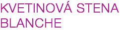 KVETINOVÁ STENA BLANCHE