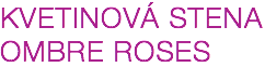 KVETINOVÁ STENA OMBRE ROSES